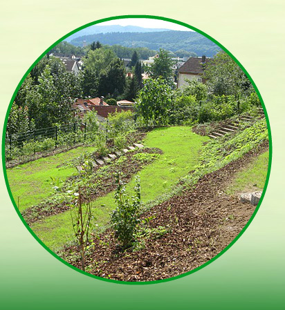 Pflanzungen - Garten- und Landschaftsbau Bolle